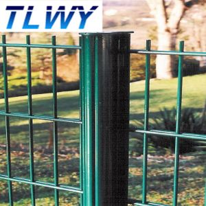6/5/6mm Double Wire Welded Mesh Fence Powder Coated 50*150mm