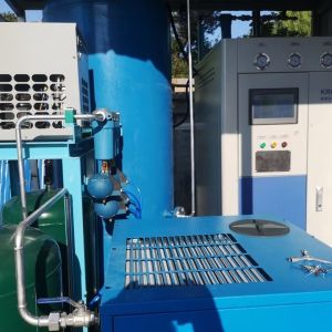 Fully Automatic Skid Mounted Design Oxygen Gas Making Machine With Cylinders