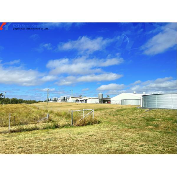 KXD Prefabricated Piggery Shed Steel Structure Metal Goat Barn Onsite Installation