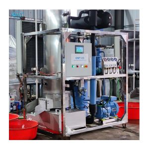 1500KG Weight 3Ton Tube Ice Machine for Food Grade Ice Production in Sales and