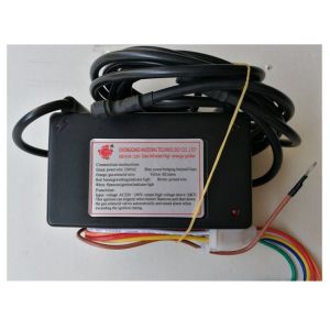 Automatically Ignition Electronic Pulse Igniter 220VAC / 110VAC THD103