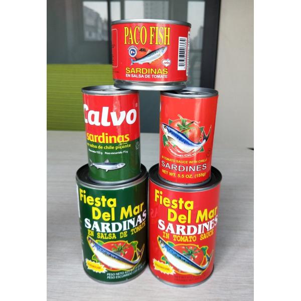 Quality 125g 155g 425g Canned Sardine Fish With Rich Phospholipids wholesale