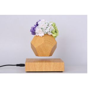 Magnetic Floating Air Bonsai levitation air bonsai planter flower potted vase