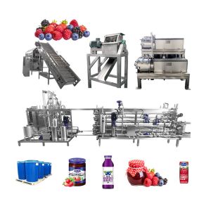 Industrial Grape Juice Processing Line 1000T/Day Stainless Steel