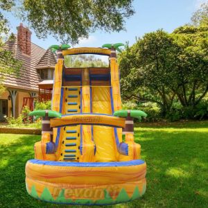 Outdoor Inflatable Water Slide for Children and Adults Accommodates 5-10