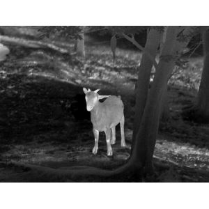 Guide TrackIR Thermal Imaging Monocular For Patrol Security