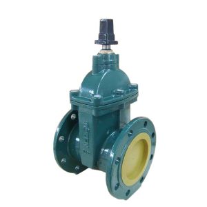 (BS) Cast Iron Resilient Gate Valve nor-rising stem Flanged Ends