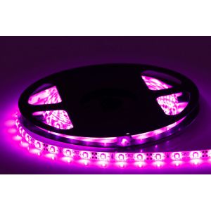 SMD 3528 220V Color Changing Led Light Strips , Outdoor LED Tree Lights Copper