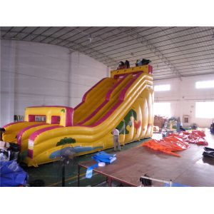 Cheap Giant Inflatable Slide (CYSL-57) for sale