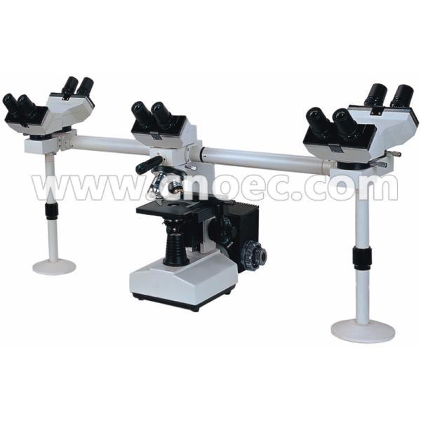 Quality 1000x Multi Viewing Microscope wholesale