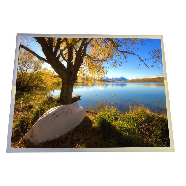 LQ150X1LW95 15 Inch 1024x768 TFT LCD Panel LVDS Interface LCD Screen For Medical