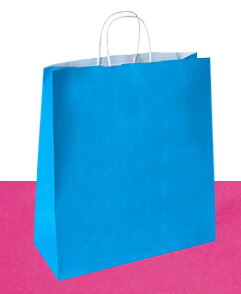 Luxury Custom Personalized Retail Shopping Carrier Packaging Clothing Paper Bag