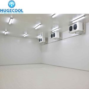 Temperature Range -45c to 30c Polyurethane Sandwiched Panel Medical Coldroom