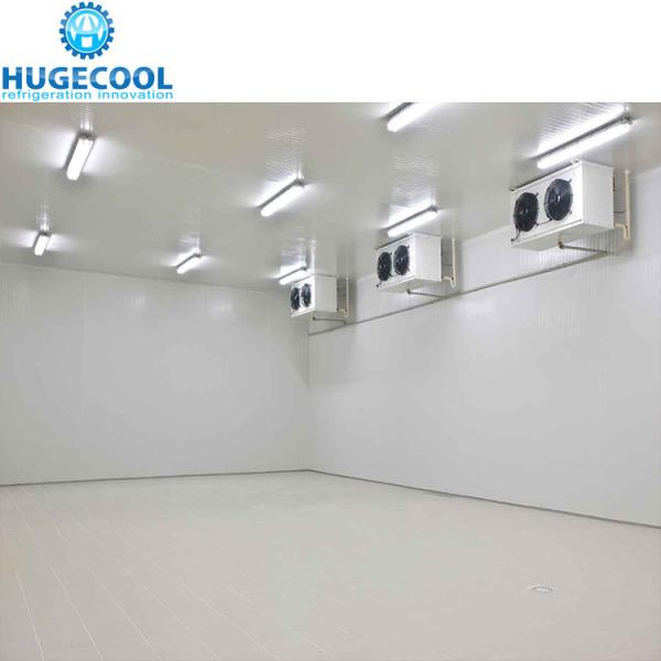 Temperature Range -45c to 30c Polyurethane Sandwiched Panel Medical Coldroom