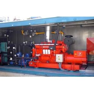 Biogas Biomass CNG LPG Gas Generator Set