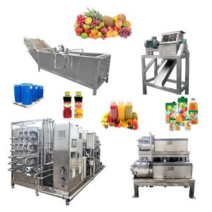 Customized Industrial Blueberry Processing Machinery Production Solutions