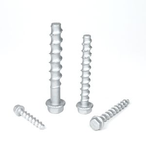 Cheap Flat Head Stainless Steel Concrete Bolt Anchor M6 M8 M10 M12 for Customized Support for sale