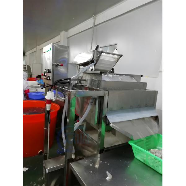 400-500KG/H Shrimp Cleaning Machine Practical High Efficiency