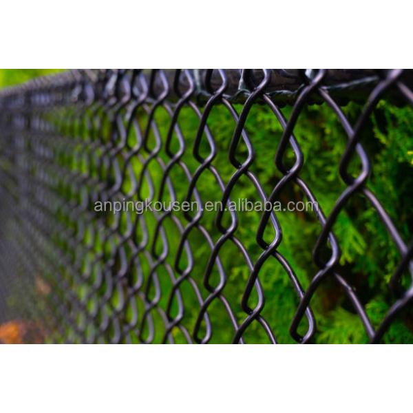 Hot Dipped Galvanized PVC Coated Diamond Chainlink Fence for Pressure Treated Fencing