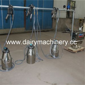 China 25L Stainless Bucket Milking Machine with 50kpa Vacuum and 5-6 Cows/Min Efficiency for Dairy Farms on sale