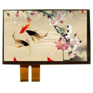 800*480 ST7262 16/18/24 Bit RGB 5 Inch TFT LCD Screen Wide Operating Temp