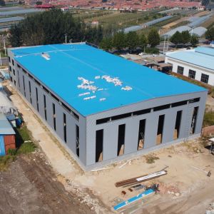 Large Span Steel Structure Warehouse for Logistics with 50-Year Lifespan