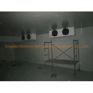 Structure Assembled Insulation Polyurethane Panel for Freezer Room with Color