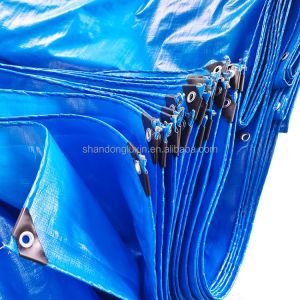 s PE Blue Tarpaulin Fabric for Dustproof and Sunlight Blocking Width 2-11m