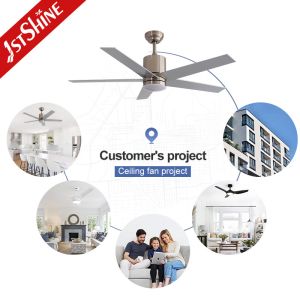 Satin Nickel Modern LED Ceiling Fan With 5 MDF Blade DC Motor Home Decorative