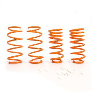 Customizable Honda Civic Lowering Springs 10th (FC1/FC7/FK7)