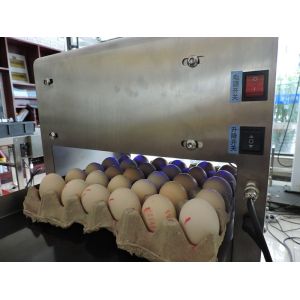 Egg Industry Automatic Batch Code Printing Machine With Thermal Foam Type Nozzle