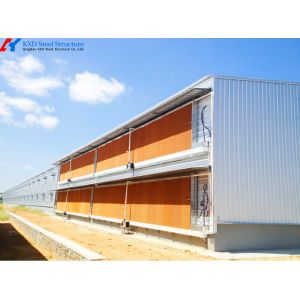 Prefabricated Steel Poultry Shed with Automatic Feeding and Drinking Systems