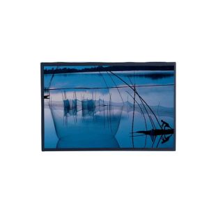 12.1 TFT LCD Ips Display 1280x800 30Pin Tft Pc Monitor LVDS Interface