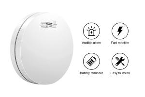 China CE Approval Standalone Smoke Detector Alarm 10 Years Battery Operated Fire Smoke Alarm on sale