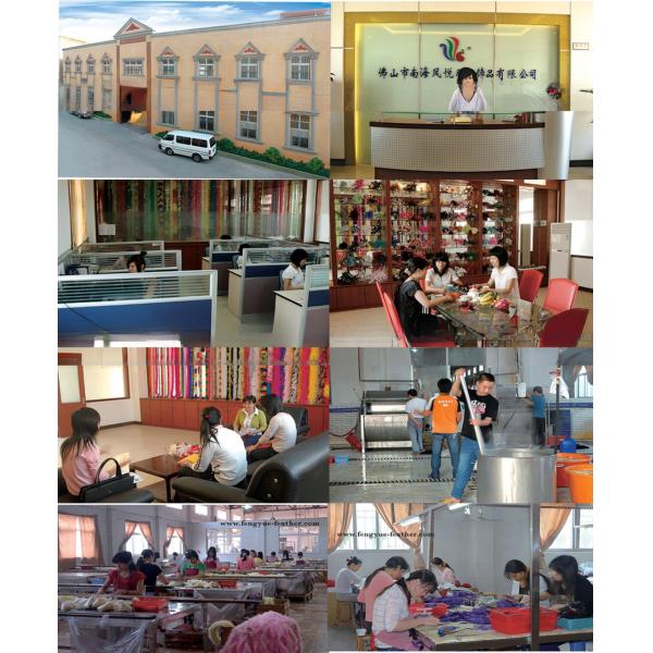 International Shipping Sinamay and Feather Fascinator Hat with Goose Feather