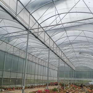 Single Layer Greenhouse Hydroponics System Wrought Iron Greenhouse With Film