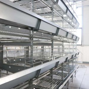 China 90 - 256 Birds Battery Cage System , Durable Enriched Cages For Laying Hens on sale