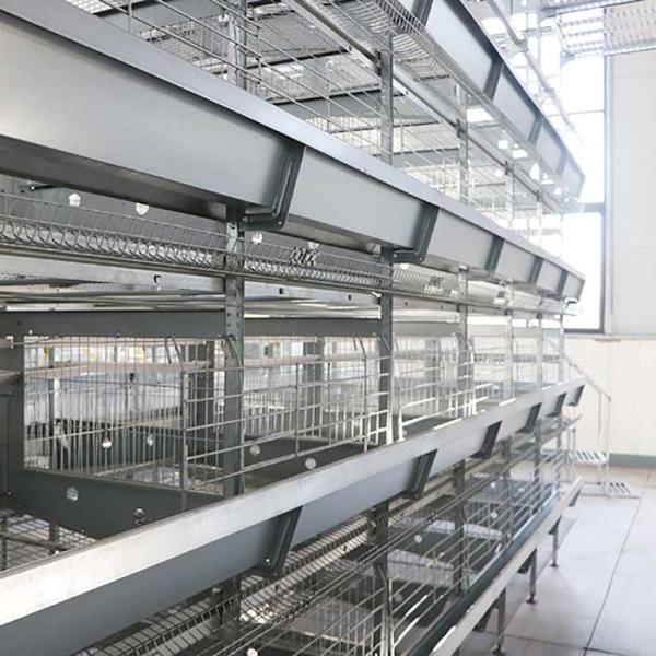 Quality 90 - 256 Birds Battery Cage System , Durable Enriched Cages For Laying Hens wholesale