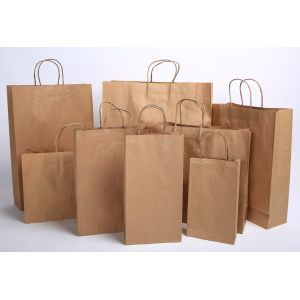 New Design High Speed Automatic Round Flat Twisted Handle Paper Bag Making