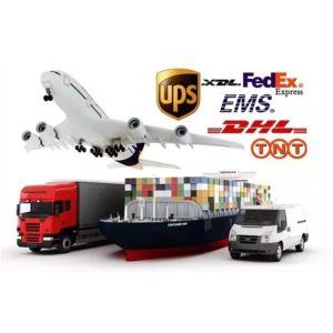 LZ-800 Commercial Moon Crescent Ice Making Machine with 200KG Ice Storage