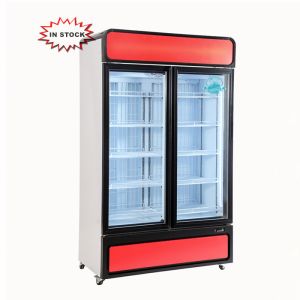 China Supermarket -22C upright ice cream display case R290 2 glass door freezer showcase on sale