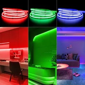Product Weight 0.3kg 5m 10m Smart Strip Light with Dream Colour RGB COB Chip LED