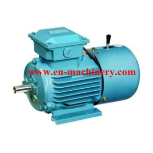 AC/DC Synchronous Generator Motor for Crane(CE, TUV, SGS) INVERTER DUTY MOTOR