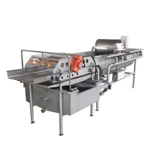 Vortex Type Ozone Vegetable Fruit Washing Machine 1.5T / Hour Capacity