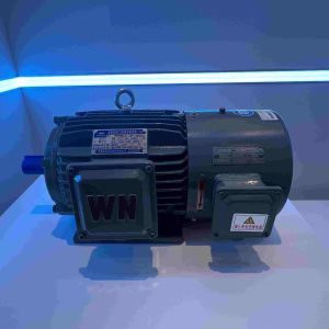 Low Vibration Dust Proof Permanent Magnet Synchronous Electric Motors