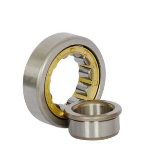 China SS P4 V2 V3 V4 NJ208 Cylindrical Roller Bearing on sale