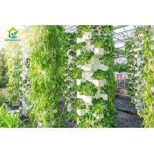 Environment Friendly Soilless Hydroponic System 75*50mm NFT Lettuce System