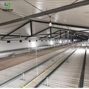 Customized Prefabricated Steel Construction Structure Pig Poultry Farm Broiler
