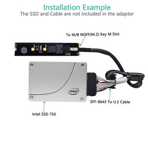 M.2 Module With Mini-SAS HD (SFF-8643) 36-Pin Connector For U.2 (SFF-8639) NVMe