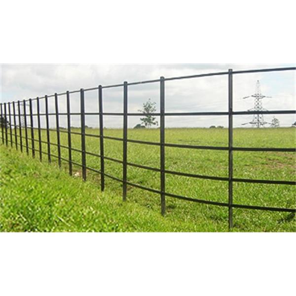 Quality Traditional Security Steel Palisade Fencing Simple Structure Low Maintenance wholesale
